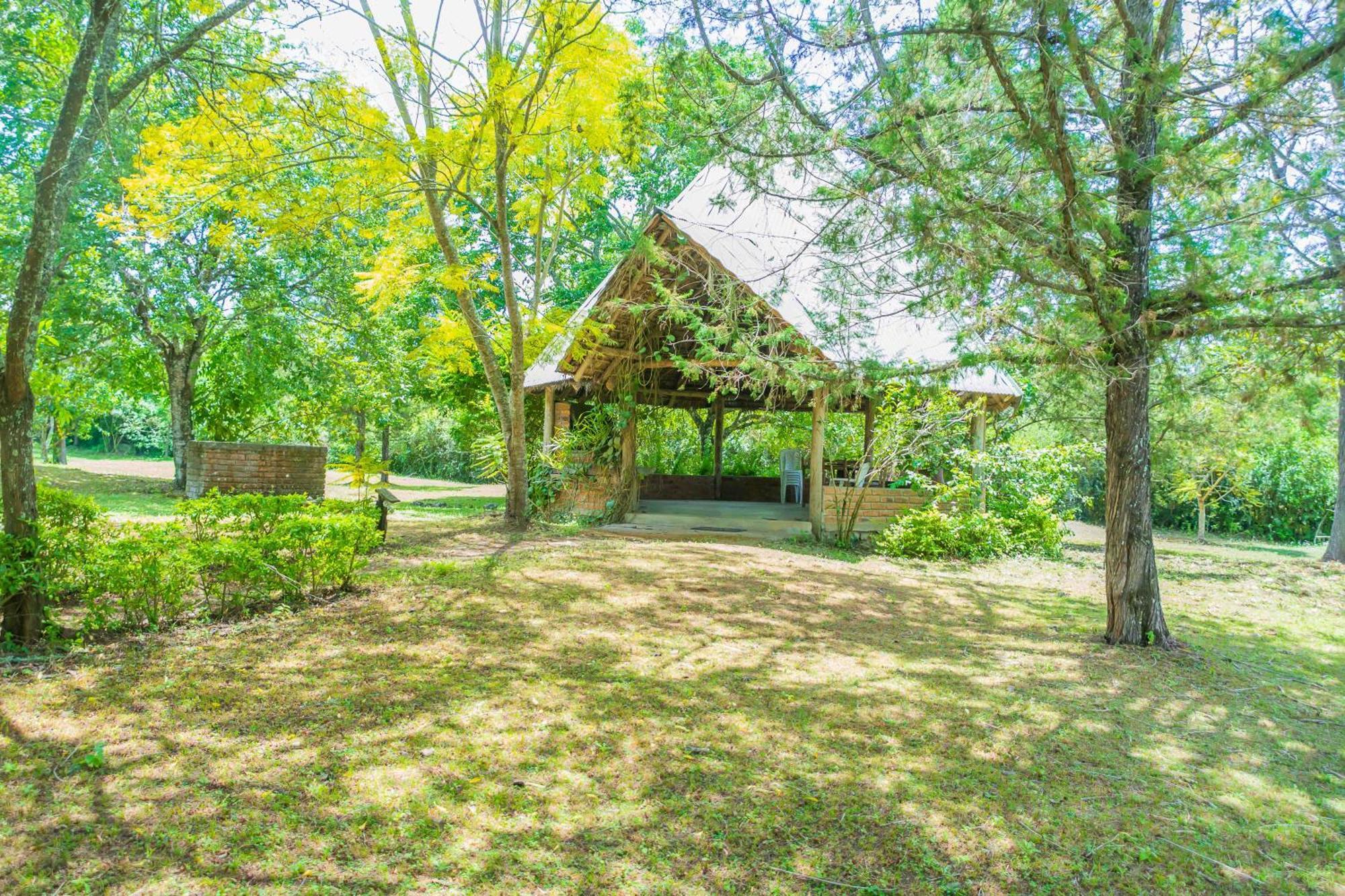 Meru Mbega Lodge Usa River エクステリア 写真