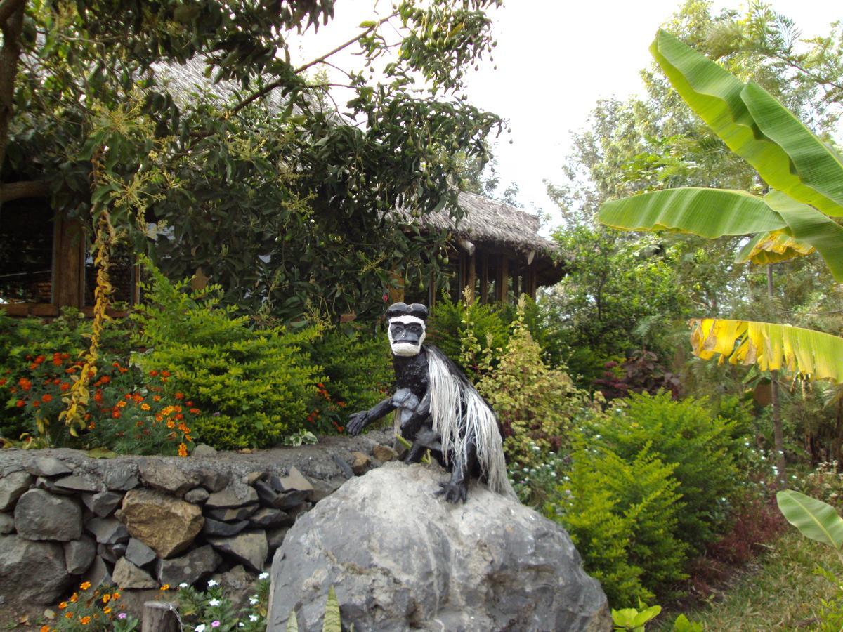Meru Mbega Lodge Usa River エクステリア 写真