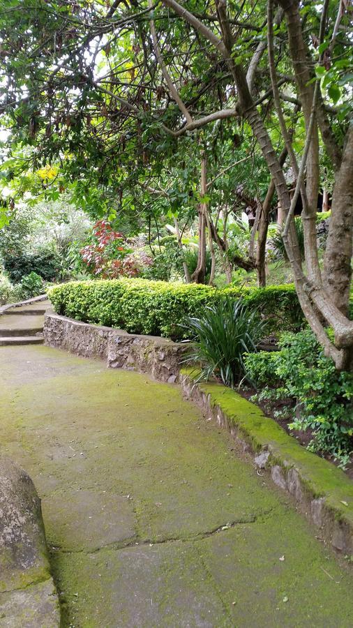 Meru Mbega Lodge Usa River エクステリア 写真