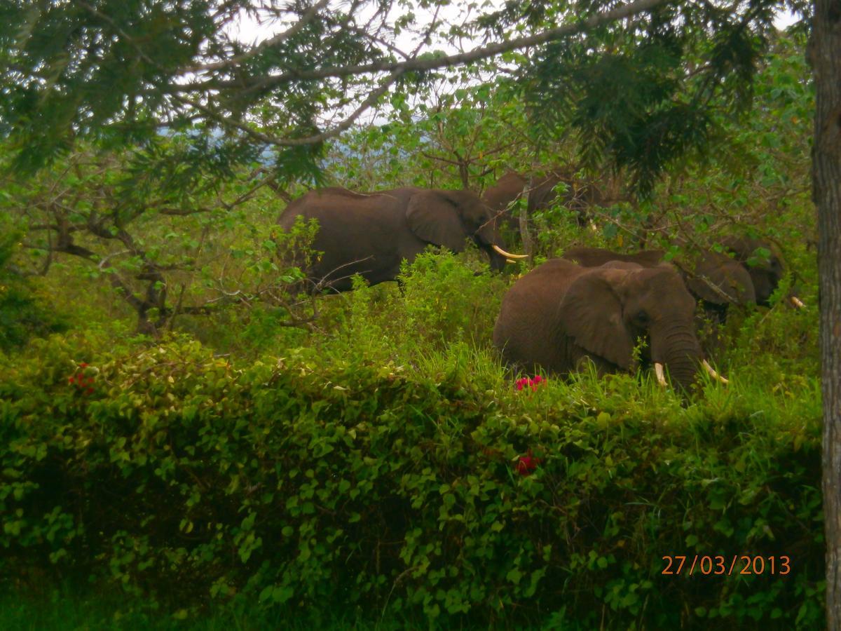 Meru Mbega Lodge Usa River エクステリア 写真