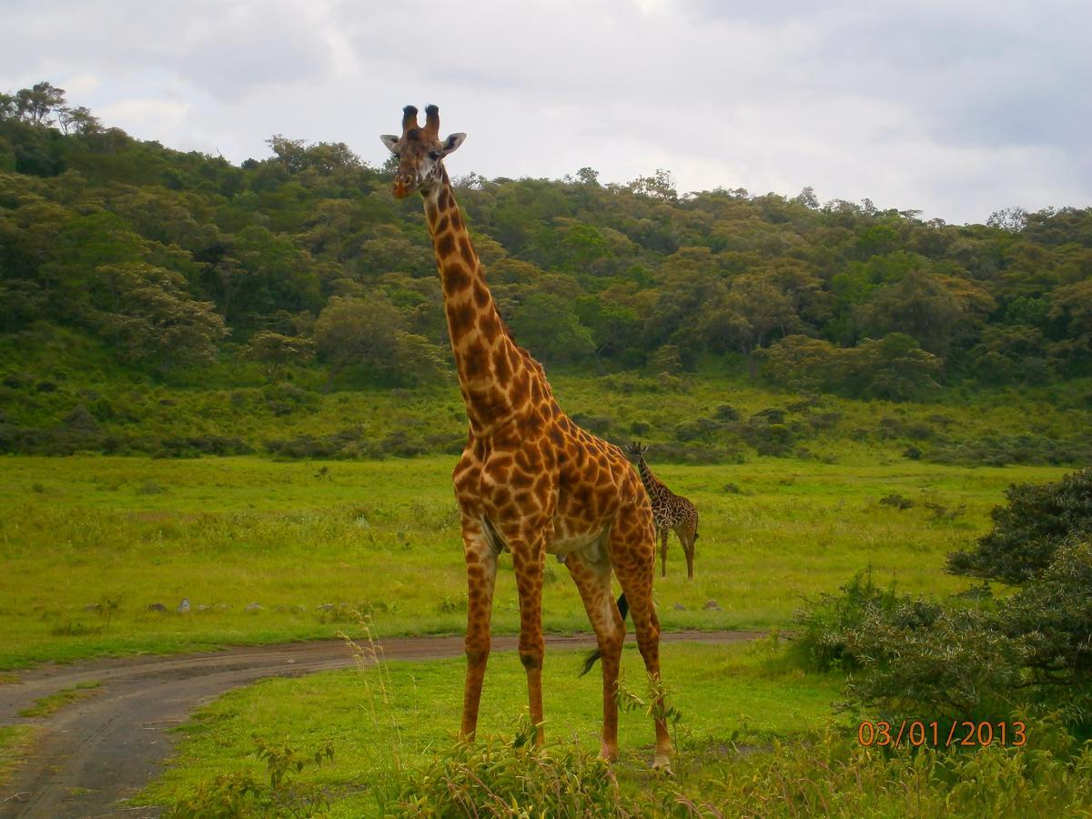 Meru Mbega Lodge Usa River エクステリア 写真