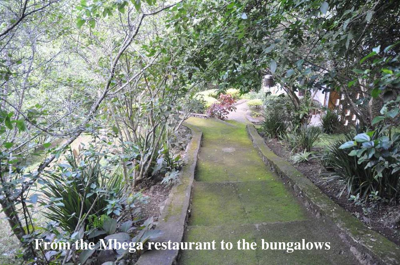 Meru Mbega Lodge Usa River エクステリア 写真