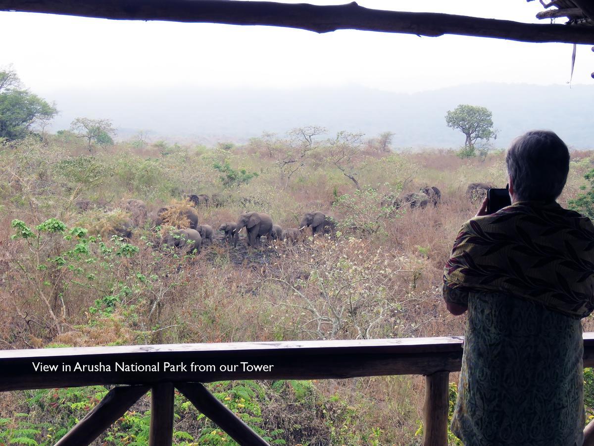 Meru Mbega Lodge Usa River エクステリア 写真